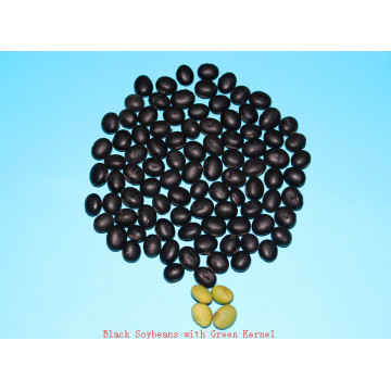 Dried black beans with green kernel